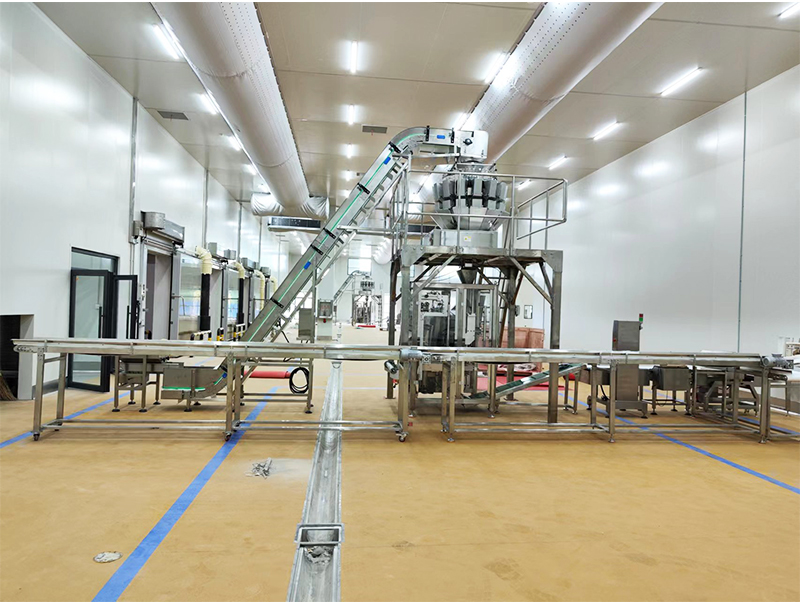 máquina de embalagem automática de alimentos congelados