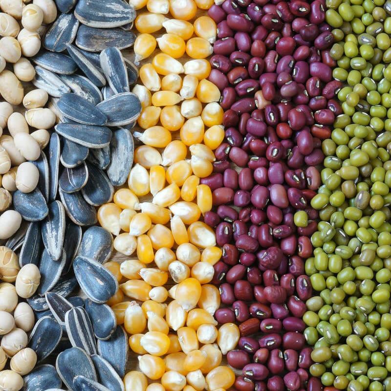 Máquina de embalagem automática de sementes